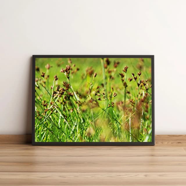 Quadro Jardim de Folhas Verdes 427