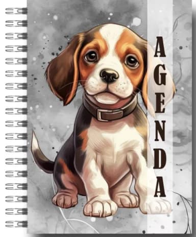 Agenda