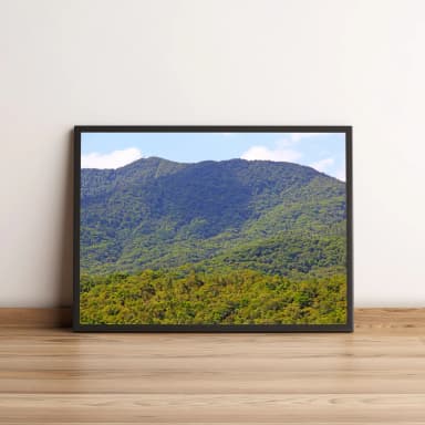 Quadro Paisagem de Montanhas Vigorosas 837