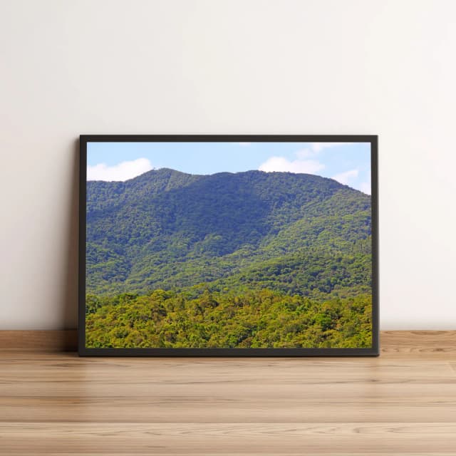 Quadro Paisagem de Montanhas Vigorosas 837