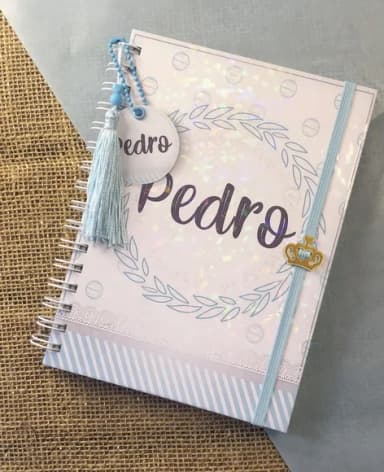 Caderneta de Saúde / Vacinação Personalizada - Clean Azul