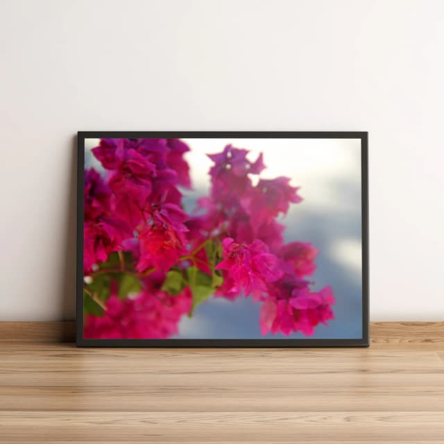 Quadro Flores Rosas em Fundo Suave 1716