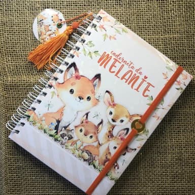 Caderneta de Saúde / Vacinação Personalizada Raposinhas