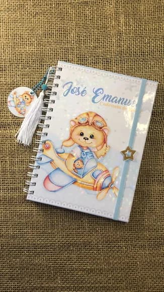 Caderneta de Saúde Vacinação Personalizada Ursinho Aviador