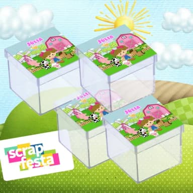 Caixinha de Acrílico Personalizada Festa Fazendinha