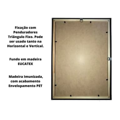 Quadro Pássaros Gaivota Voando 354