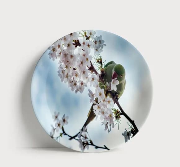 Prato Decorativo Pássaro e Flores de Cerejeira