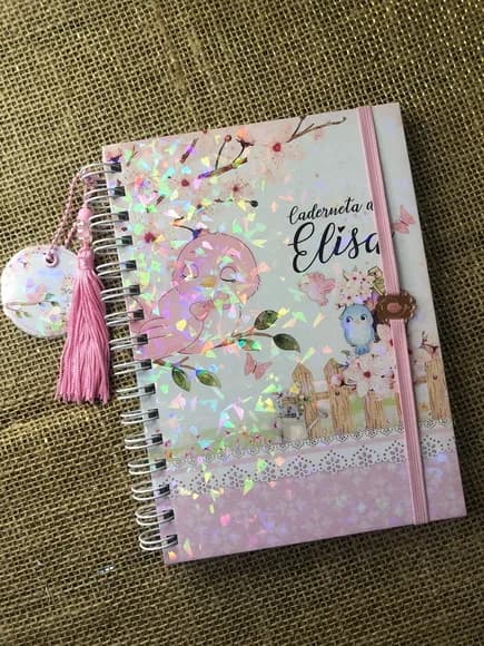 Caderneta de Saúde / Vacinação Personalizada - Passarinhos