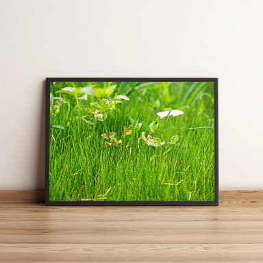 Quadro Jardim de Folhas Verdes 425