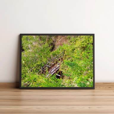 Quadro Escada de Madeira Entre Folhas Verdes 424