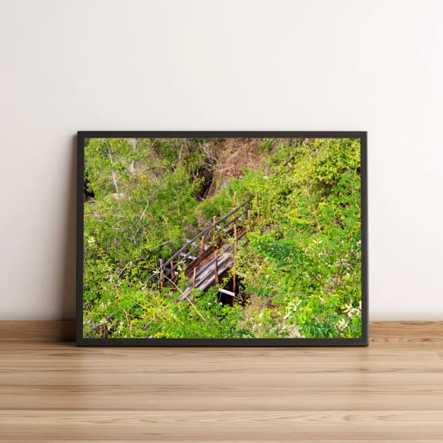 Quadro Escada de Madeira Entre Folhas Verdes 424