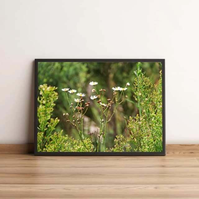 Quadro Decorativo com Flores Brancas em Jardim Verde 1993