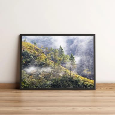 Quadro Árvore Em Montanha Entre Nuvens 49