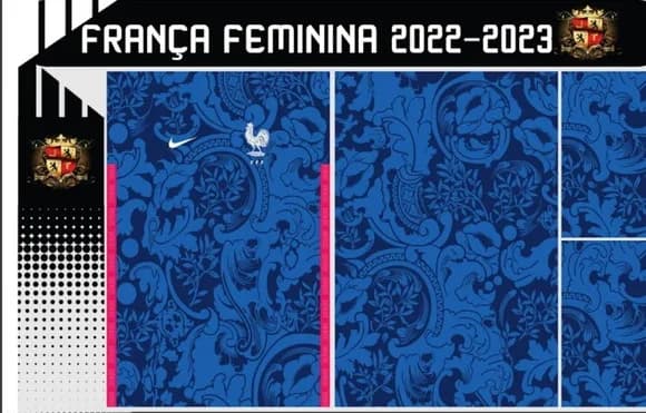 Vetor Da Camisa França Feminina 2022-2023