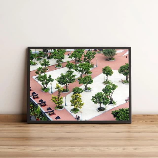 Quadro Praça com Árvores Verdes Arte Decorativa 1519