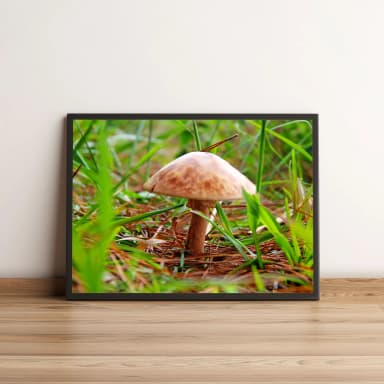 Quadro Cogumelo Entre Folhas 32