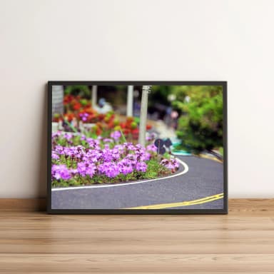 Quadro Estrada Florida com Flores Roxas Decorativas 1518