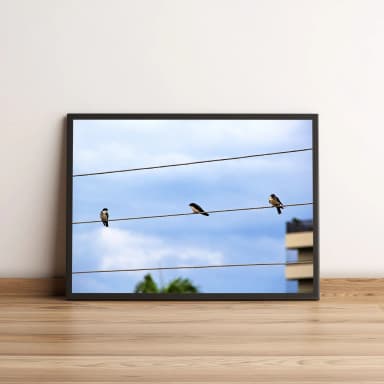 Quadro Andorinhas em Fios ao Céu Azul 834