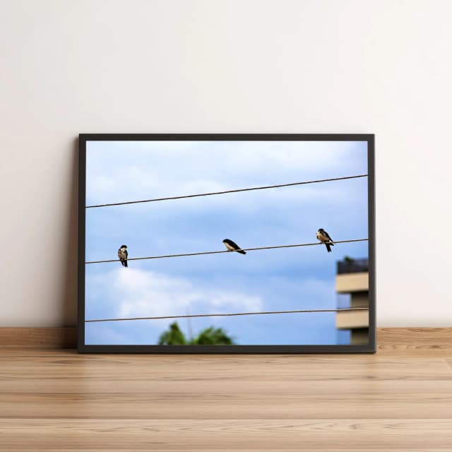 Quadro Andorinhas em Fios ao Céu Azul 834