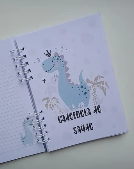 Caderneta Vacina c/ Acessórios - Escolha o Tema