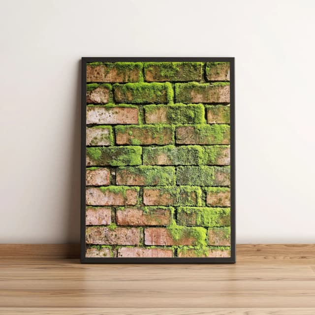 Quadro Decorativo Parede de Tijolos com Musgo Verde 2263