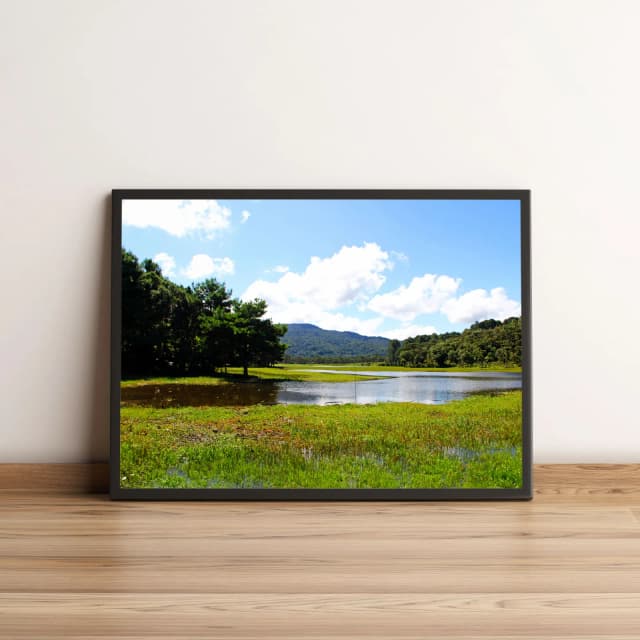 Quadro Lago Entre Floresta com Árvores 348