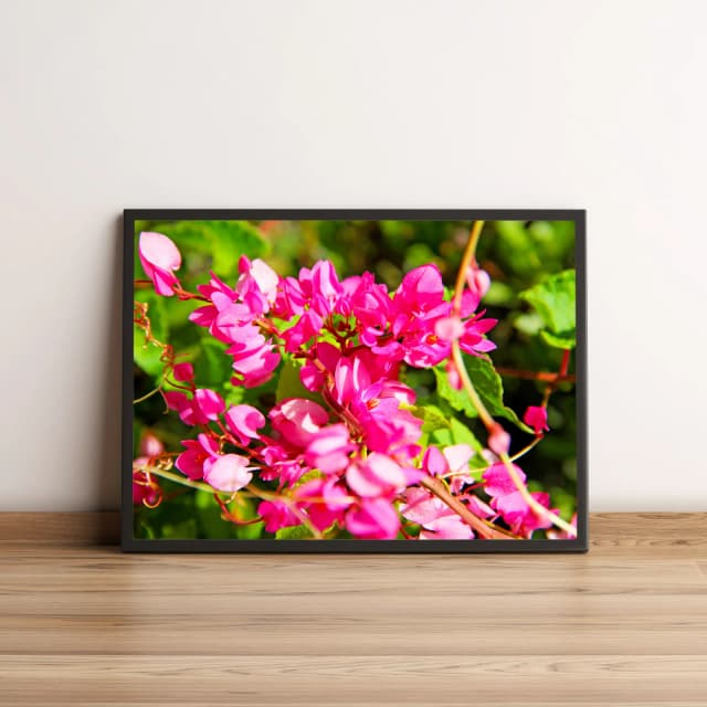 Quadro Flor de Pétalas Rosas 844