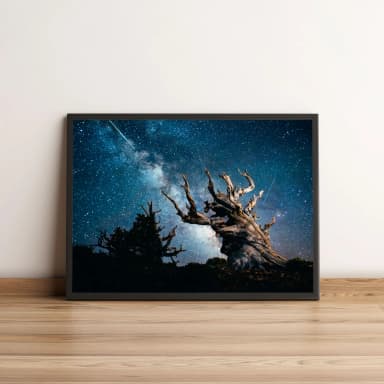 Quadro com Galáxia e Árvore Antiga ao Luar 02