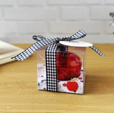 Lembrancinha para Professor com Sabonete Líquido Personalizado – Tema Maçã