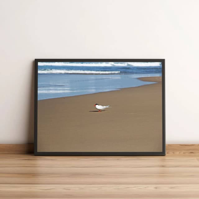 Quadro Pássaro em Areia de Praia 432