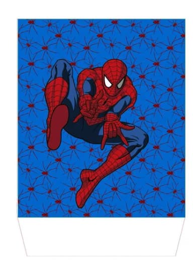Sacola Personalizada P