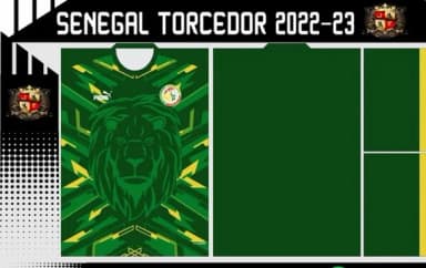 Vetor Da Camisa Senegal Torcedor 2022-23
