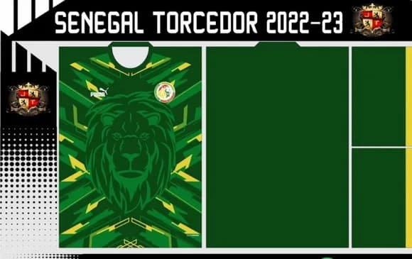 Vetor Da Camisa Senegal Torcedor 2022-23