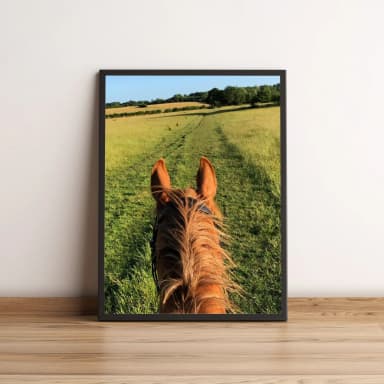 Quadro com Cena de Passeio a Cavalo no Campo 17