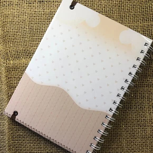 Caderneta de Saúde / Vacinação Personalizada Tigre Vintage
