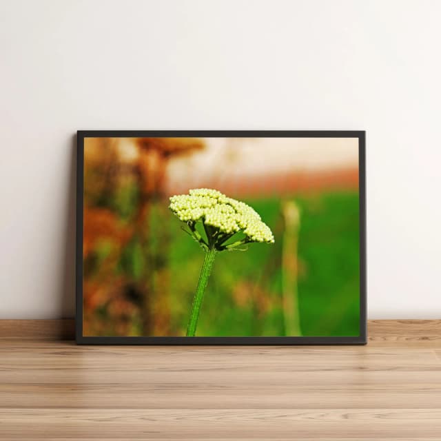 Quadro Flor Com Sementes Verdes 482