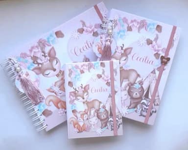 Kit Livro do Bebê G+ Caderneta de Saúde+ Mini Porta Doc"s