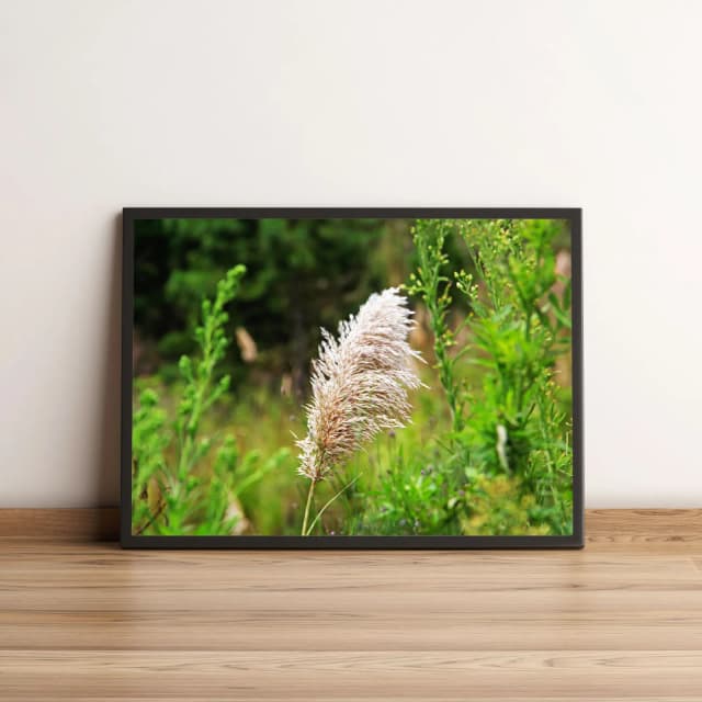 Quadro Decorativo com Capim dos Pampas em Jardim Verde 1994