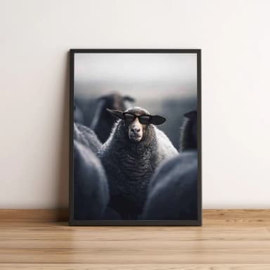 Quadro Ovelha de Óculos Escuro 51