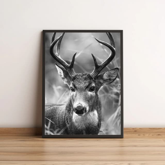 Quadro Cervos em Preto e Branco Elegante 2663