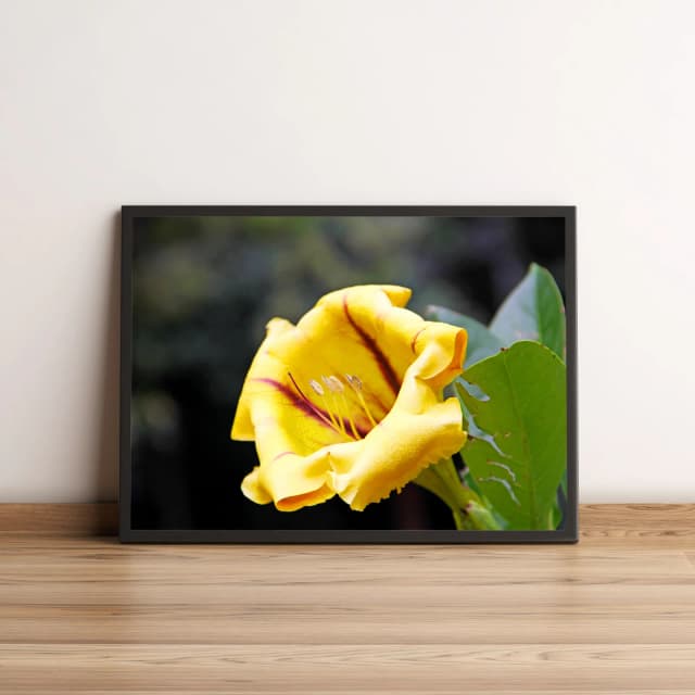Quadro com Flor Amarela em Close Up Decoração Natural 2036