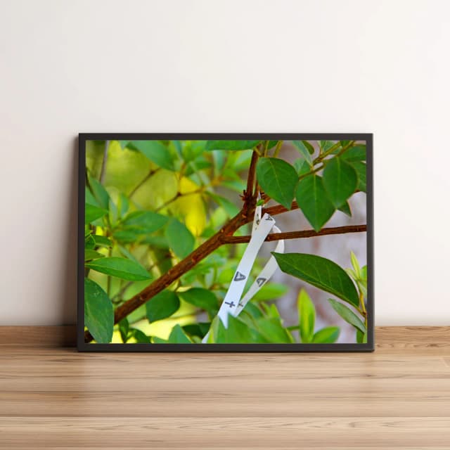 Quadro Natureza com Fitinhas Delicadas 838