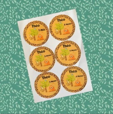 12 Adesivos mêsversário Safari