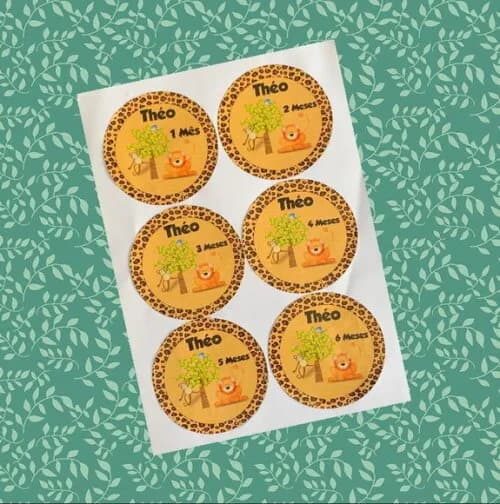 12 Adesivos mêsversário Safari