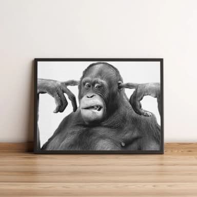 Quadro Macaco Divertido Preto e Branco 2626