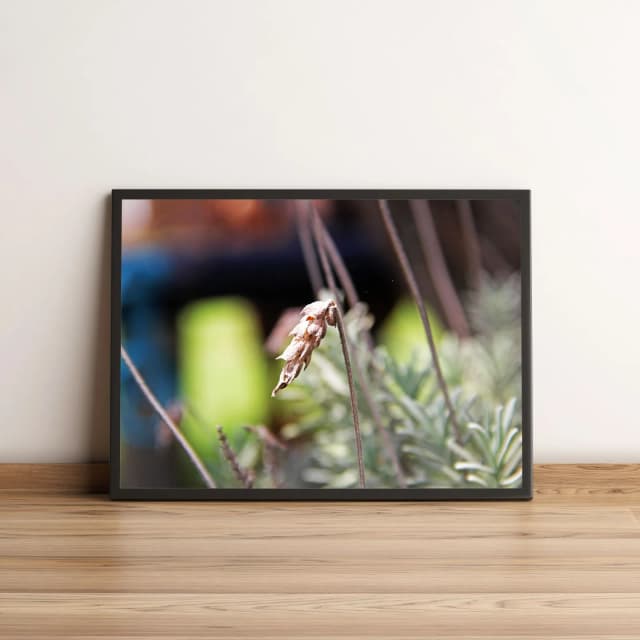 Quadro Decorativo com Paisagem Rural e Lago Tranquilo 1987