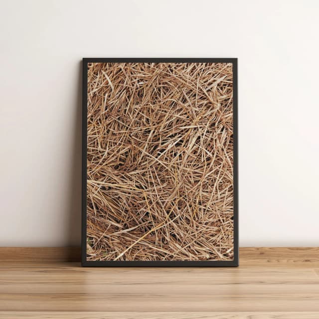 Quadro Decorativo com Textura de Palha Seca Natural 2140