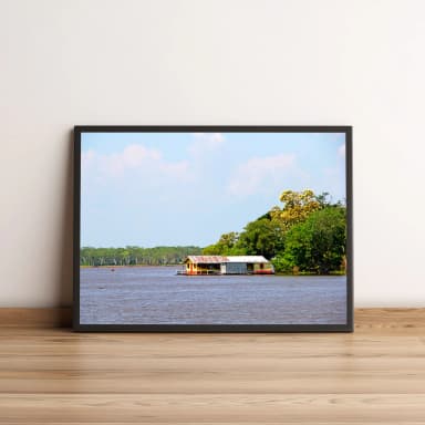 Quadro com paisagem de casa flutuante na natureza 830