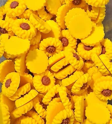 Mini Girassol Emborrachado Pacote com 10 Unidades
