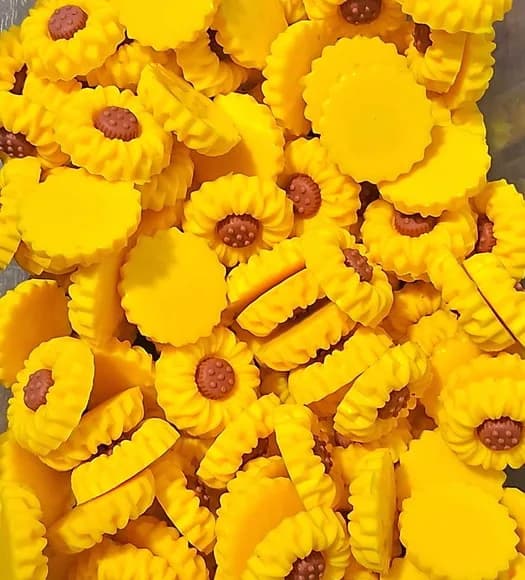 Mini Girassol Emborrachado Pacote com 10 Unidades